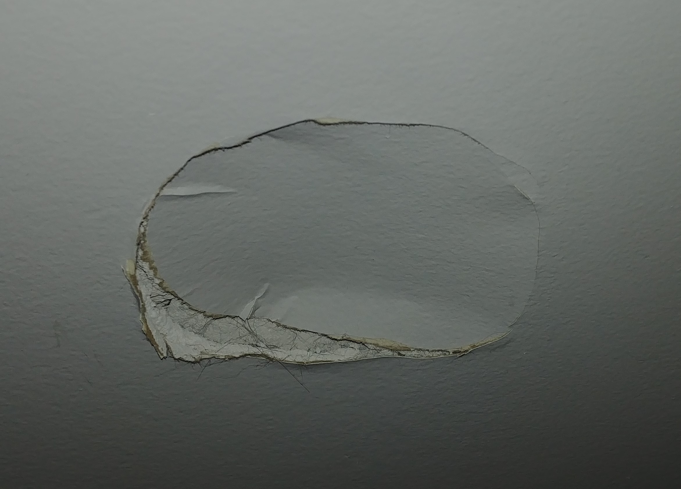 Ceiling Texture And Drywall Repair